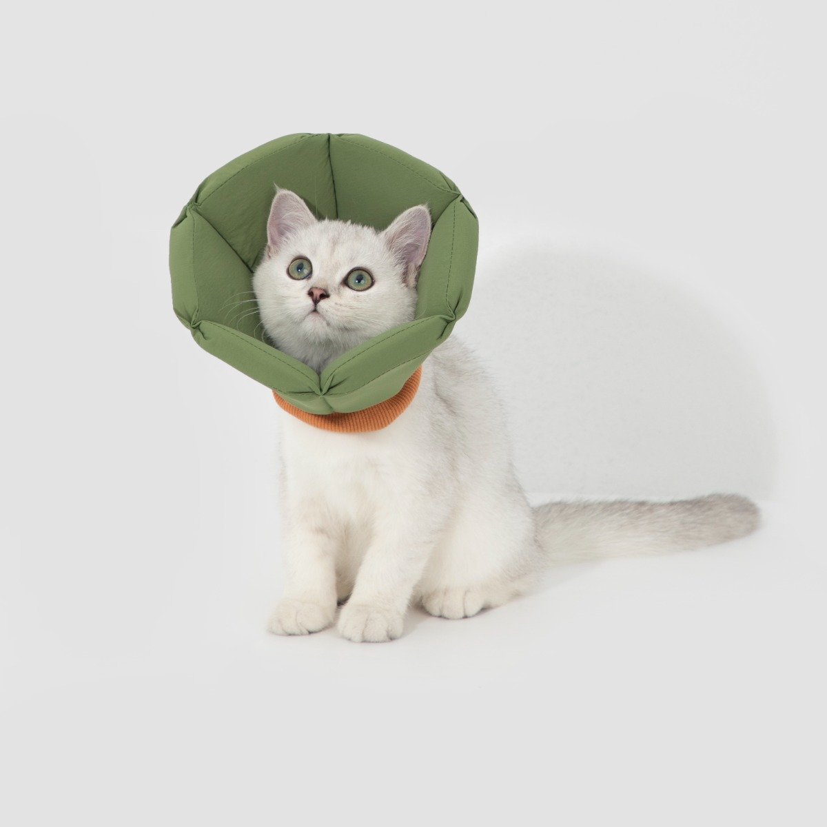 Inflatable Dog Donut Collar, Soft Cone Alternative for Recovery After Surgery